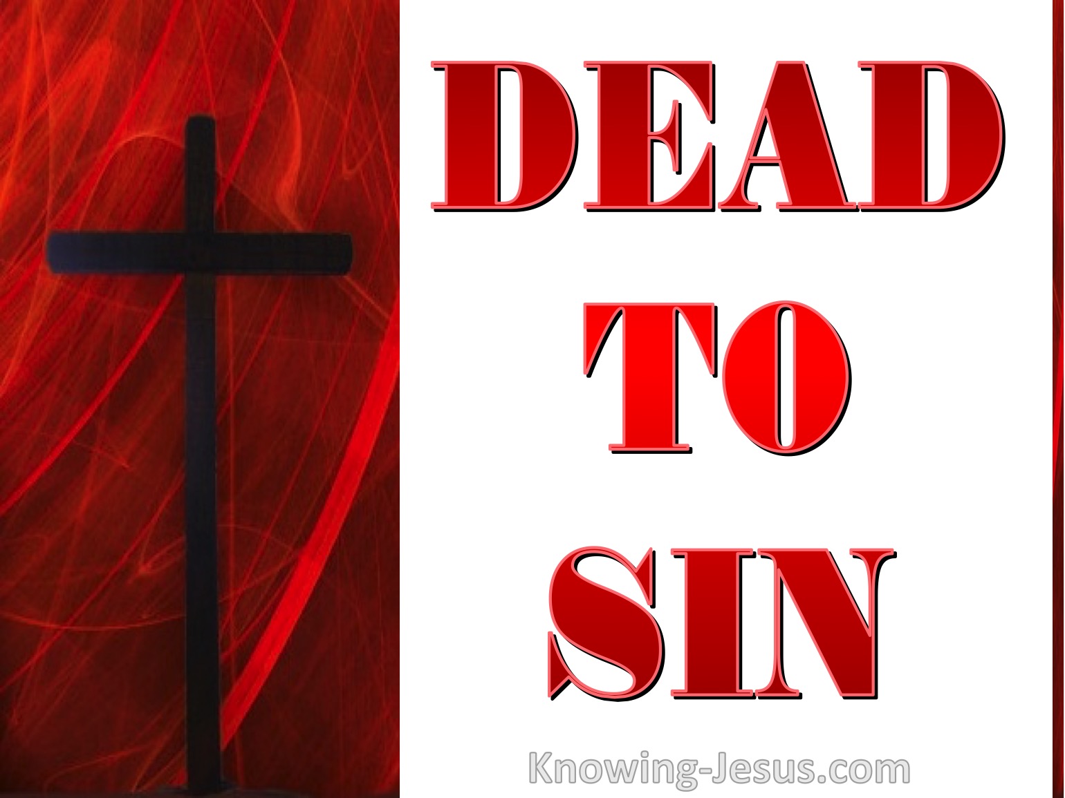 OUR SINS