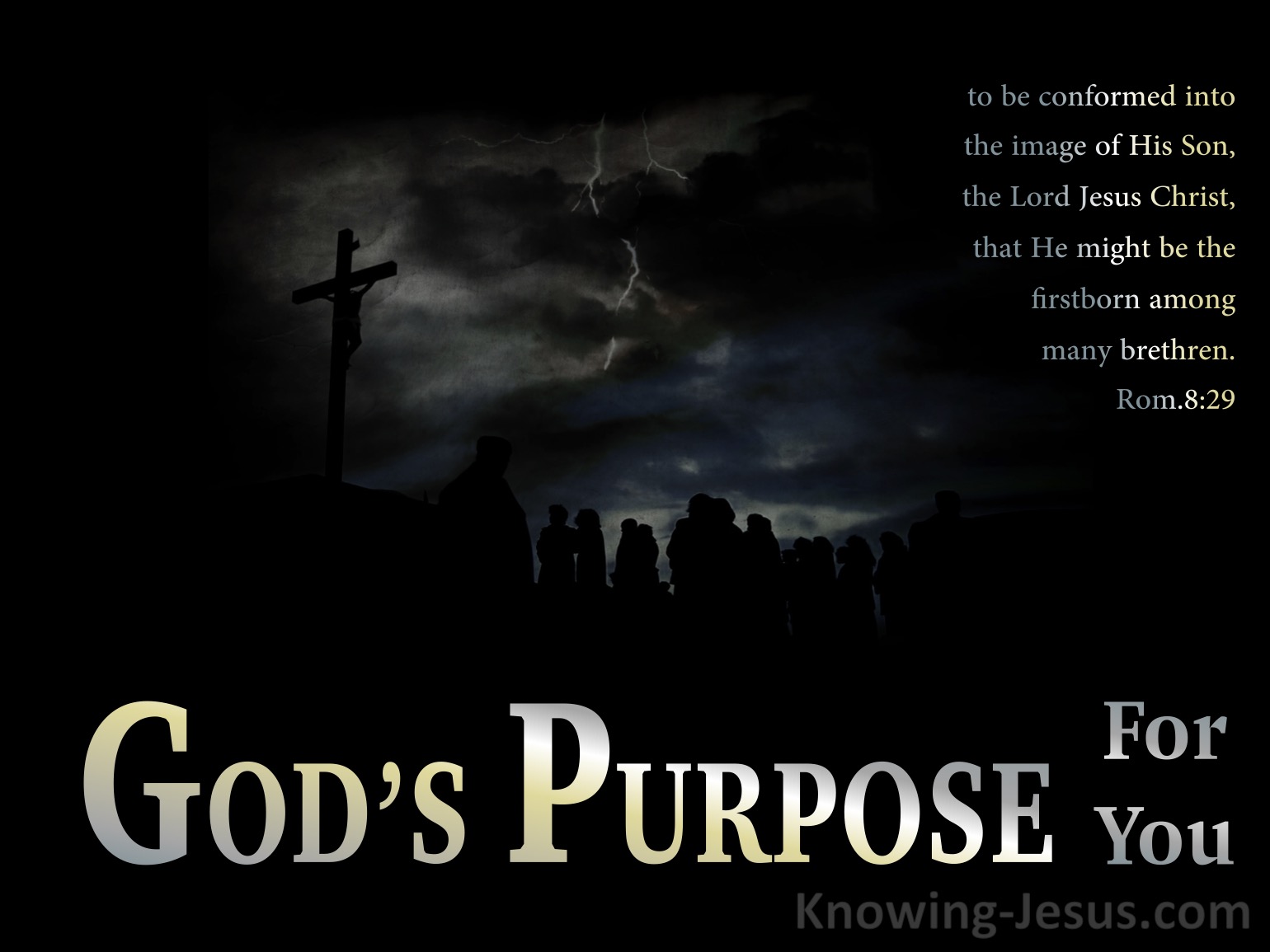 God’s Purpose For You