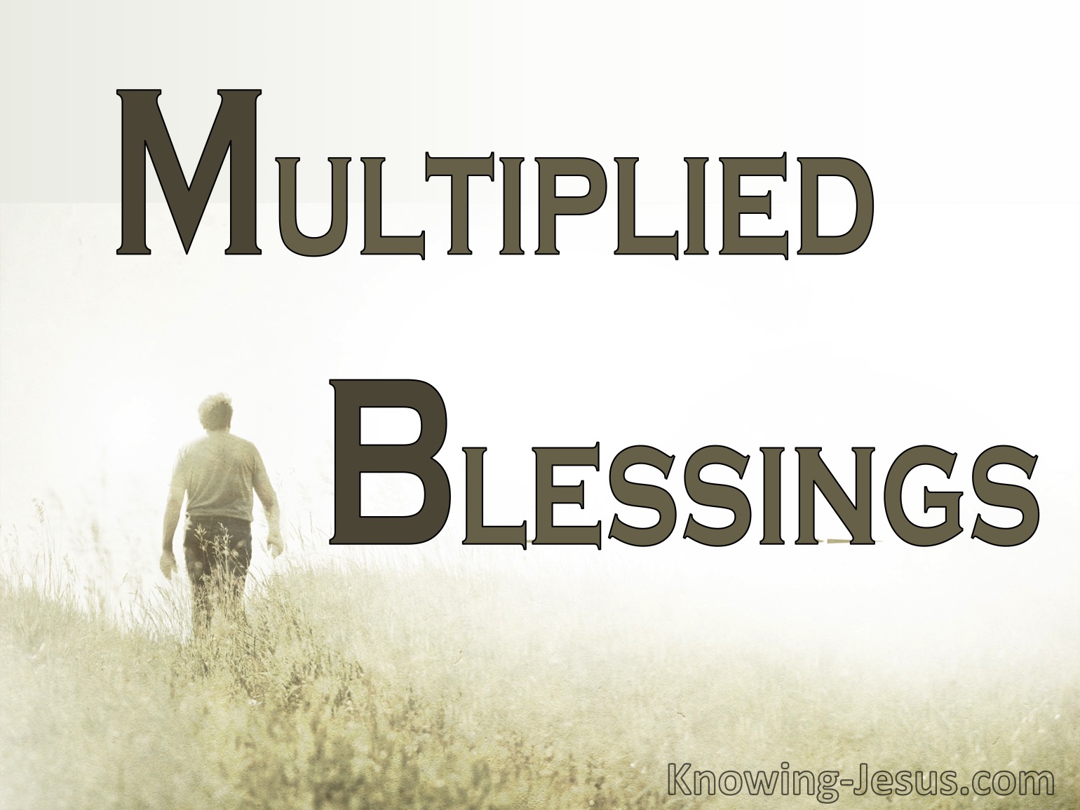 Multiplied Blessings