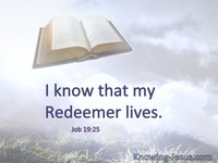 Job 19:25