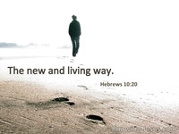 Hebrews 10:20