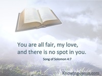 Song of Solomon 4:7