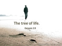 Genesis 2:9