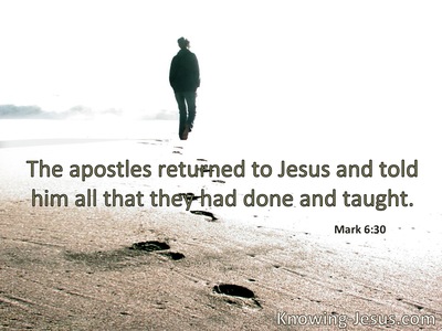 The apostles gathered to Jesus and told Him all . . . they had done.
