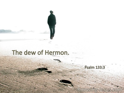 The Dew of Hermon.
