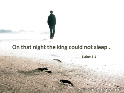 That night the king could not sleep.