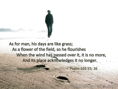 As for man, his days are like grass;as a flower of the field, so he flourishes.For the wind passes over it, and it is gone,and its place remembers it no more.