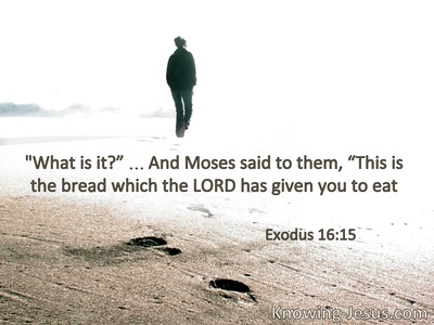 “What is it?” Moses said to them, “This isthe bread which the Lord has given you to eat.”