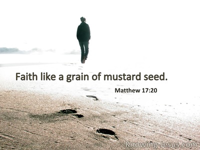 Faith as a mustard seed.