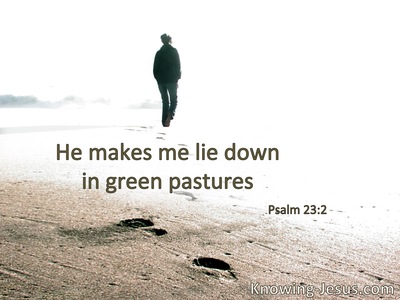 He makes me to lie down in green pastures.