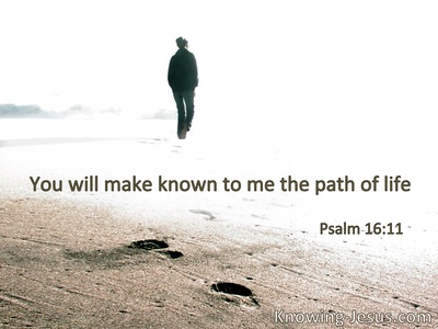 You will show me the path of life.