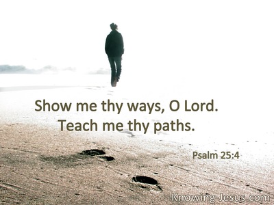 Show me Your ways, O Lord; teach me Your paths.