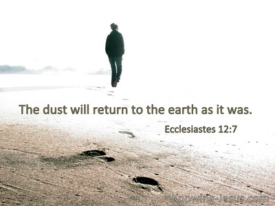 The dust will return to the earth as it was.