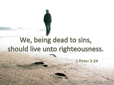 We, having died to sins, might live for righteousness.