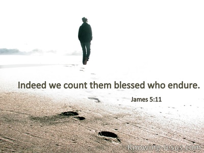 Indeed we count them blessed who endure.