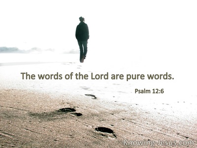 The words of the Lord are pure words.