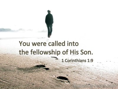 You were called into the fellowship of His Son.
