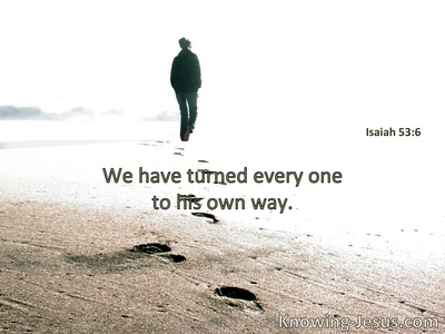 We have turned, every one, to his own way.