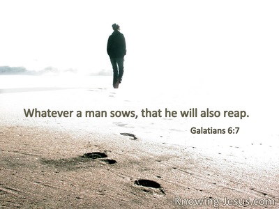 Whatever a man sows, that he will also reap.