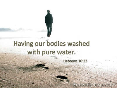 Our bodies washed with pure water.