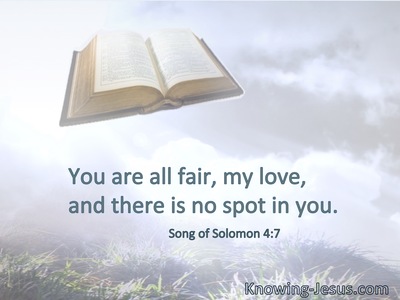 You are all fair, my love, and there is no spot in you.