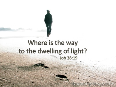Where is the way to the dwelling of light?