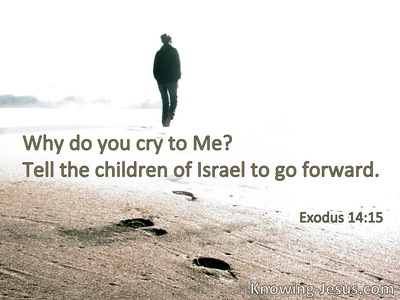 Why do you cry to Me? Tell the children of Israel to go forward.