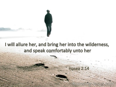 I will allure her, will bring her into thewilderness, and speak comfort to her.