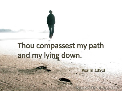 You comprehend my path and my lying down.