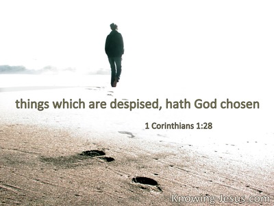 Things which are despised God has chosen.