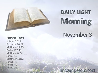 The ways of the Lord are right; the righteous walk in them, but transgressors stumble in them.
