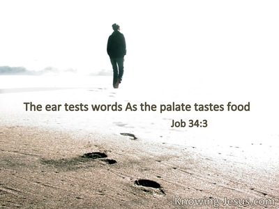 The ear tests words as the palate tastes food.