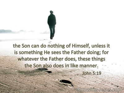 The Son can do nothing of Himself,but what He sees the Father do; forwhatever He does, the Son also does in like manner.