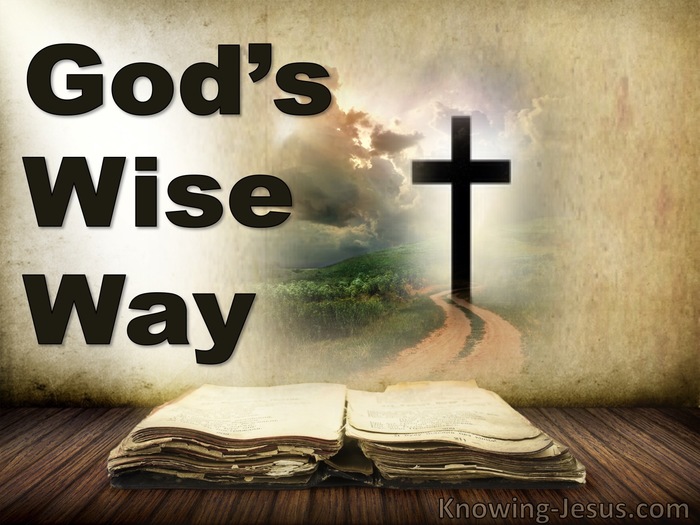 God’s Wise Way