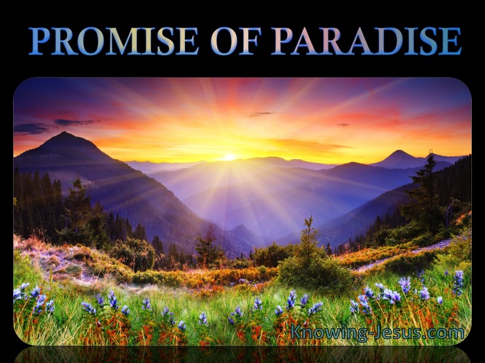 2nd Word From the Cross: 'Today You Will Be With Me in Paradise